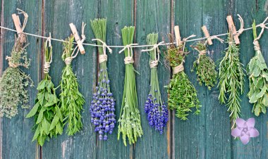 Conheça 7 benefícios dos banhos de ervas para sua vida