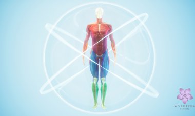 Chacras e suas conexões com as Glândulas Endócrinas